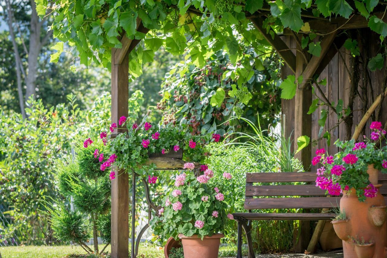 Pension Zum Ebenstein Am Donausteig Untergriesbach Zewnętrze zdjęcie